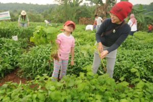 Kenali Kesalahan yang Sering Dilakukan Pemula saat Berkebun